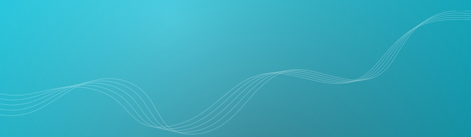 远程办公必备的ddos在线网页端